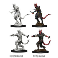 Tiefling Male Rogue: Wave 05 - Nolzur's Marvelous Unpainted Miniatures