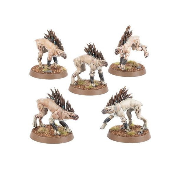 Tau Empire Kroot Hounds [Direct Order]