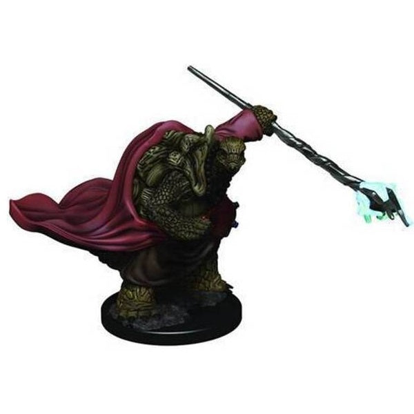 Male Tortle Monk: D&D Icons of the Realms Miniatures
