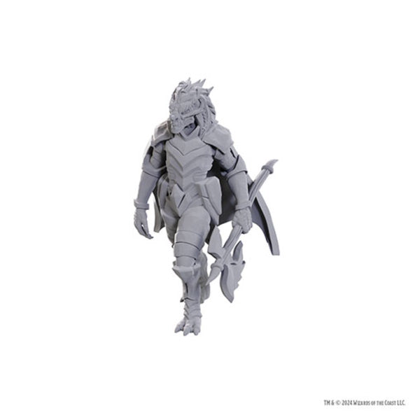 Dragonborn of Tiamat: Wave 25 - Nolzur's Marvelous Unpainted Miniatures