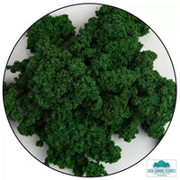 Clump Foliage - Dark Green