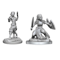 Shifter Fighter: Wave 20 - Nolzur's Marvelous Unpainted Miniatures